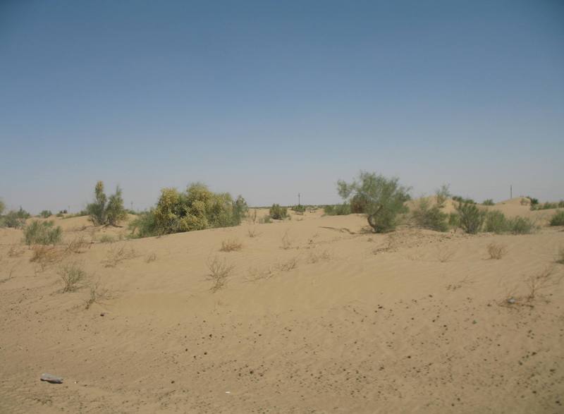 Kara Kum Desert, Uzbekistan 