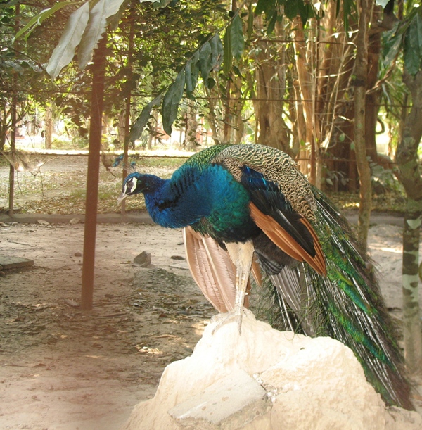 National Ethnic Cultural Park, Vientiane, Laos