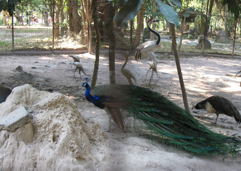 National Ethnic Cultural Park, Vientiane, Laos