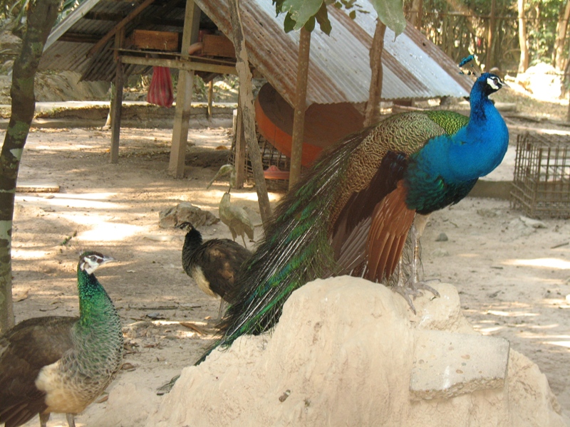 National Ethnic Cultural Park, Vientiane, Laos