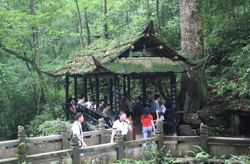   Qing Cheng Shan, Chengdu, Sichuan Province