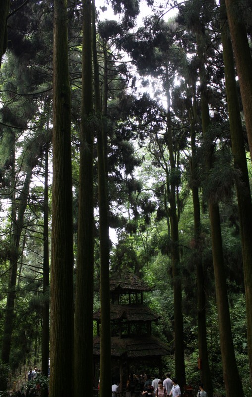   Qing Cheng Shan, Chengdu, Sichuan Province