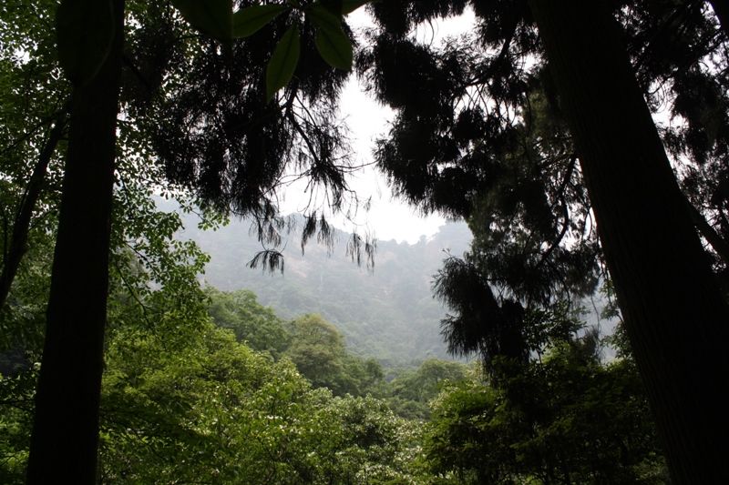   Qing Cheng Shan, Chengdu, Sichuan Province