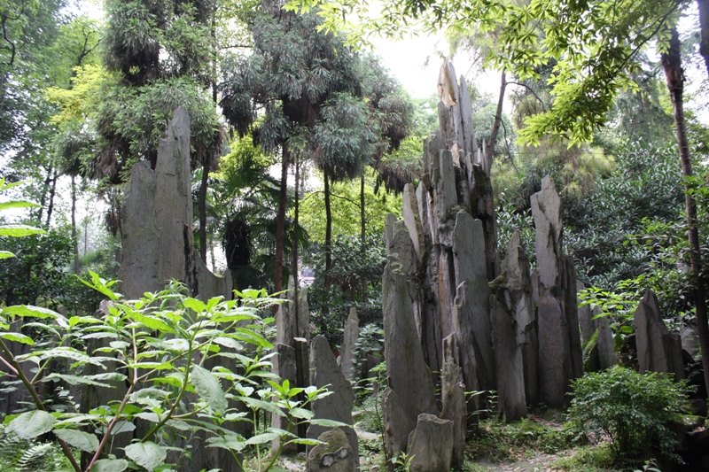  Wenshu Temple, Chengdu Sichuan Province