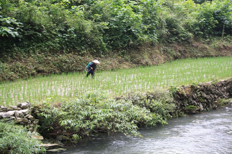 Dehang, Hunan Province