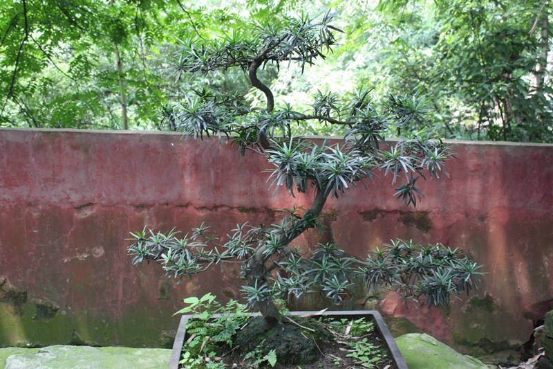 Scenic Area, The Grand Buddha, Leshan, Szechuan Province