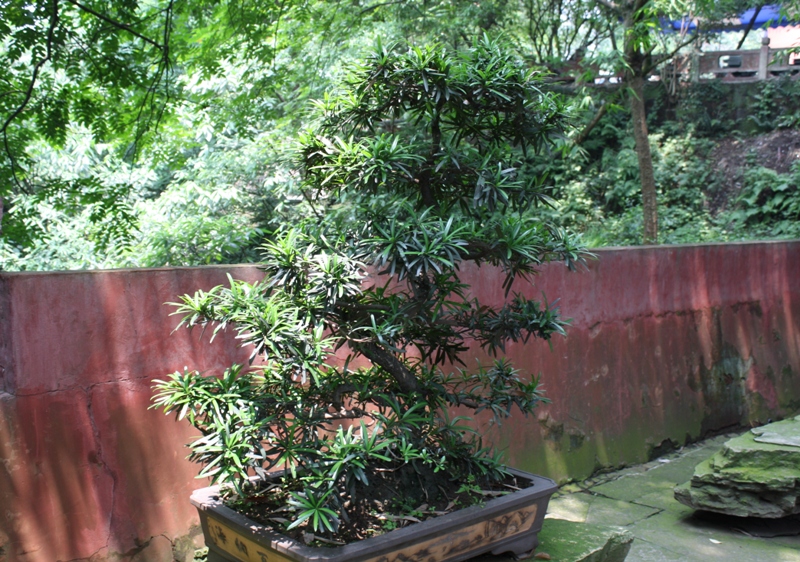 Scenic Area, The Grand Buddha, Leshan, Szechuan Province