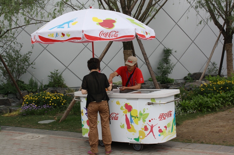 Expo 2010 Shanghai