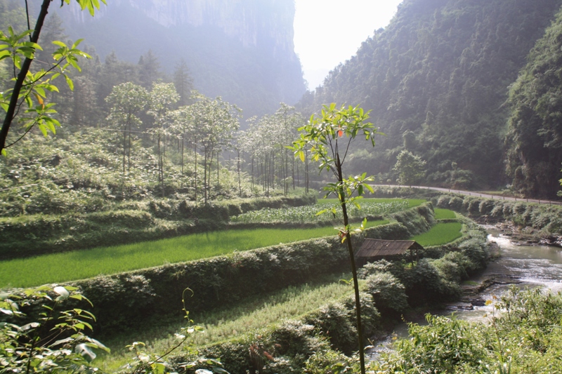  Dehang, Hunan Province