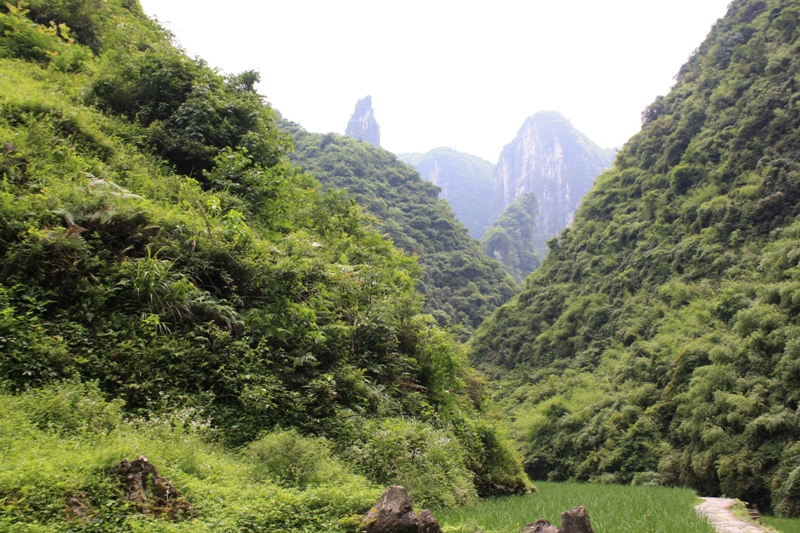 Jiulongxi Jingqu Scenic Area, Dehang, Hunan Province