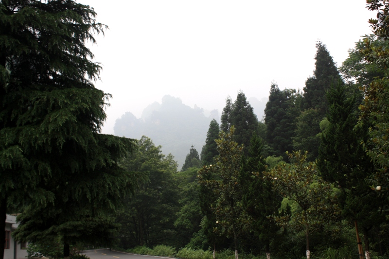  Zhangjiajie, Wulingyuan Scenic Area