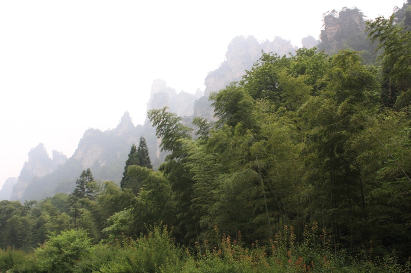  Zhangjiajie, Wulingyuan Scenic Area