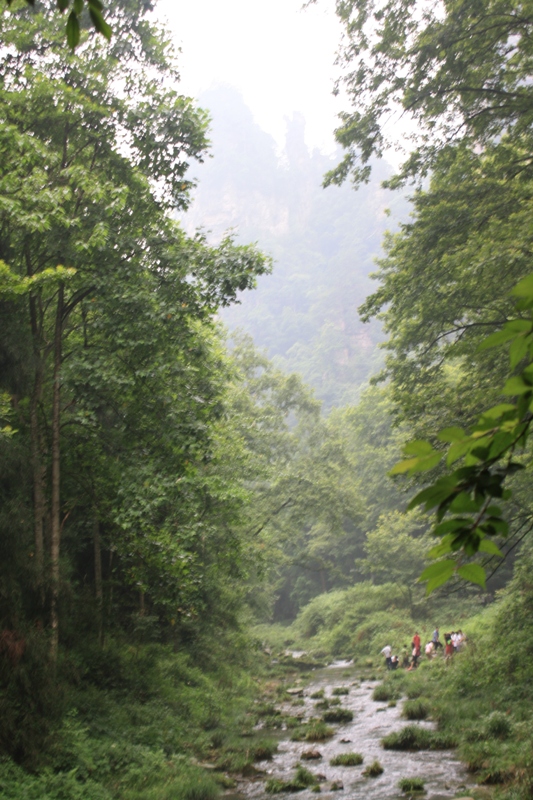 Zhangjiajie, Wulingyuan Scenic Area