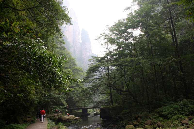 Zhangjiajie, Wulingyuan Scenic Area