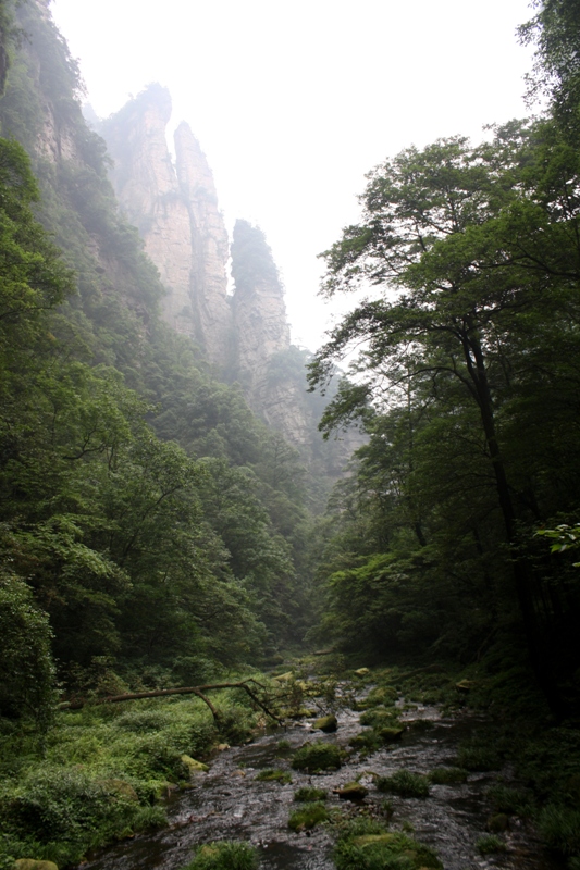 Zhangjiajie, Wulingyuan Scenic Area