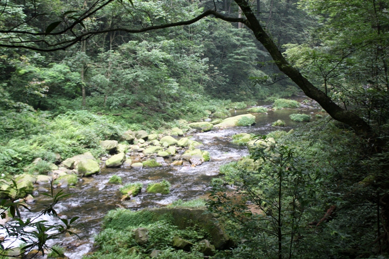 Zhangjiajie, Wulingyuan Scenic Area