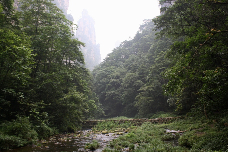 Zhangjiajie, Wulingyuan Scenic Area