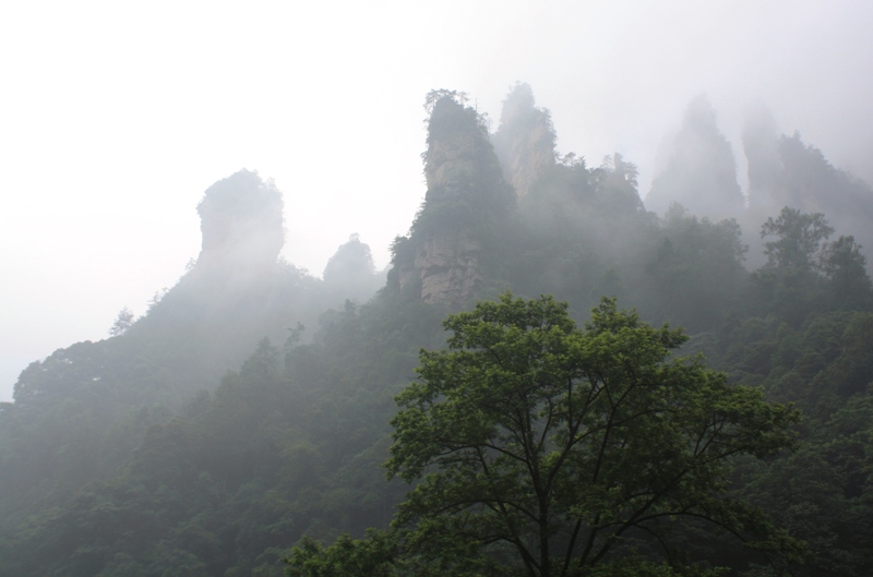 Zhangjiajie, Wulingyuan Scenic Area
