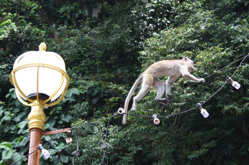 Batu Caves, Kuala Lumpur