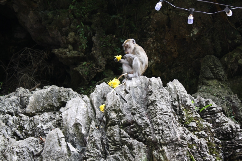 Batu Caves, Kuala Lumpur