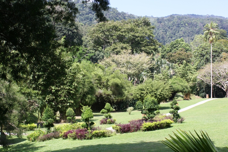 Botanical Gardens, Penang, Malaysia