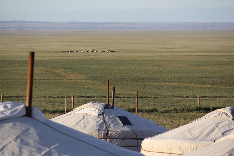 Three Camel Lodge, The Gobi, Mongolia