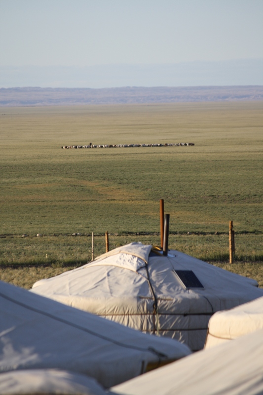 Three Camel Lodge, The Gobi, Mongolia