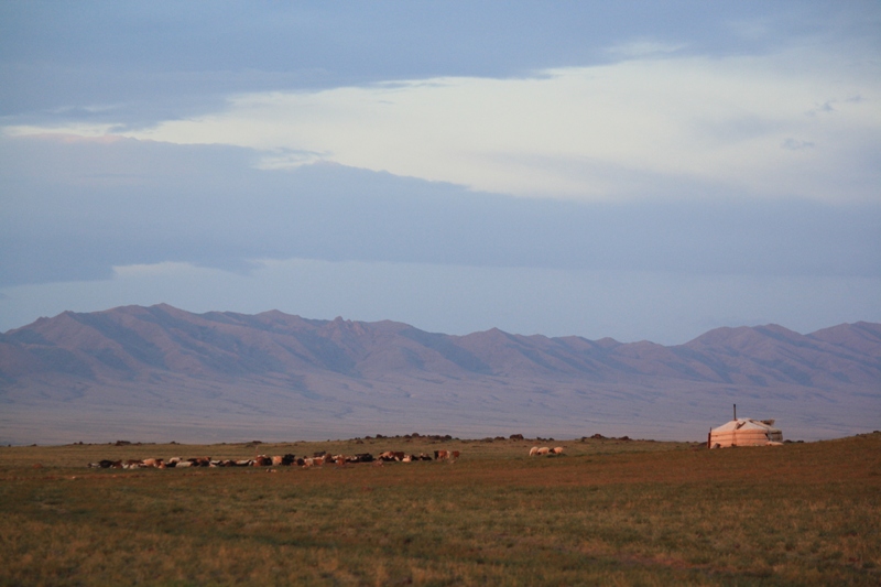 Dawn, Three Camel Lodge, The Gobi, Mongolia