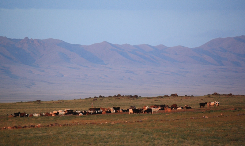 Dawn, Three Camel Lodge, The Gobi, Mongolia