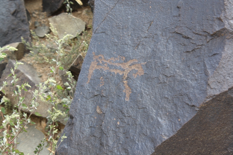 Petroglyphs, The Gobi, Mongolia