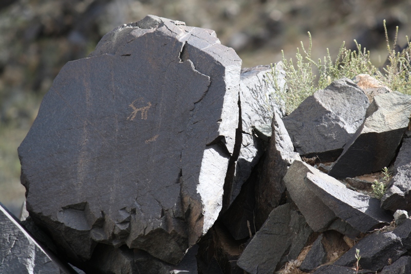 Petroglyphs, The Gobi, Mongolia