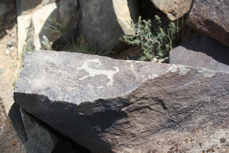 Petroglyphs, The Gobi, Mongolia