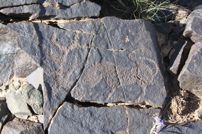 Petroglyphs, The Gobi, Mongolia