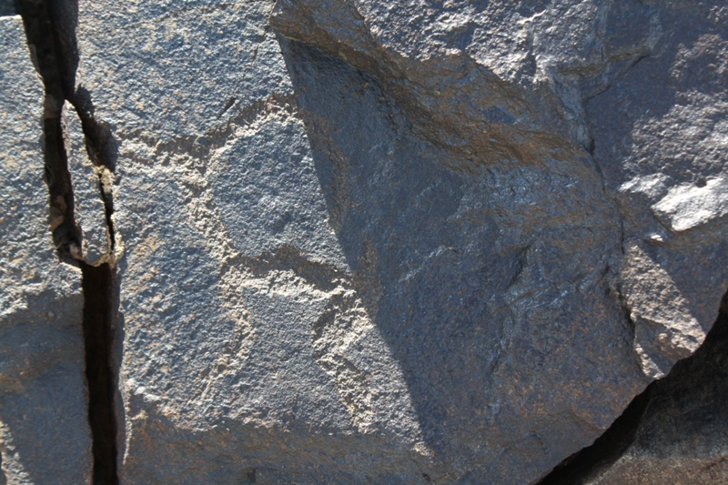 Petroglyphs, The Gobi, Mongolia