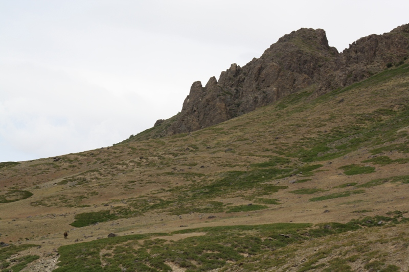 To Yolynam, The Gobi, Mongolia