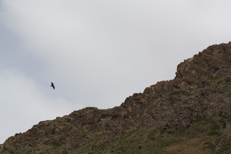 To Yolynam, The Gobi, Mongolia