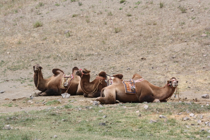 To Yolynam, The Gobi, Mongolia