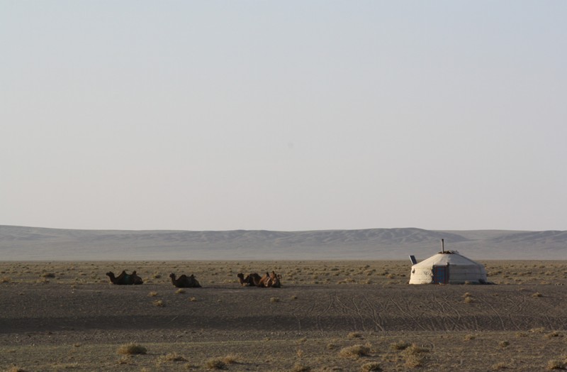 Gobi Discovery Ger Camp, Mongolia
