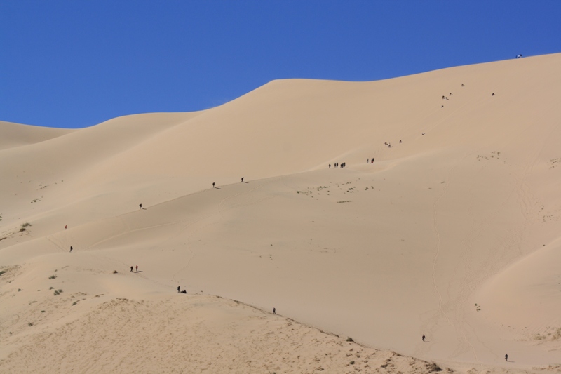 Gobi Sand Dunes