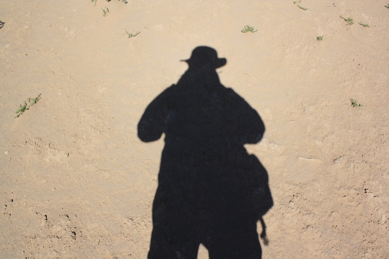 Gobi Sand Dunes