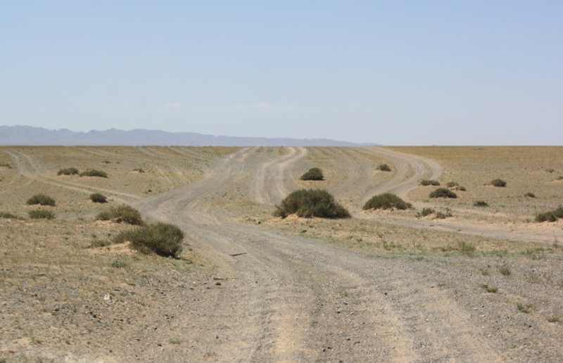 Gobi Roads