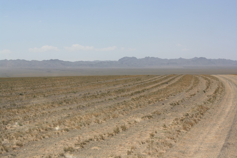 Gobi Roads