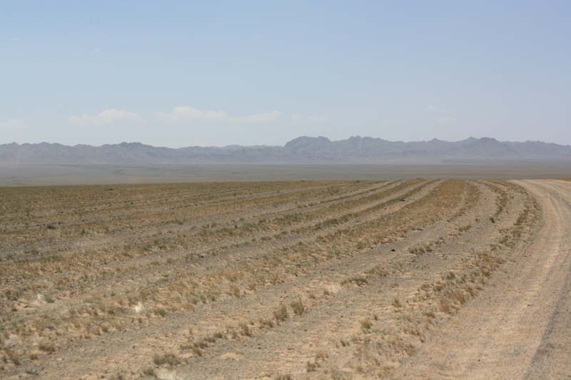 Gobi Roads