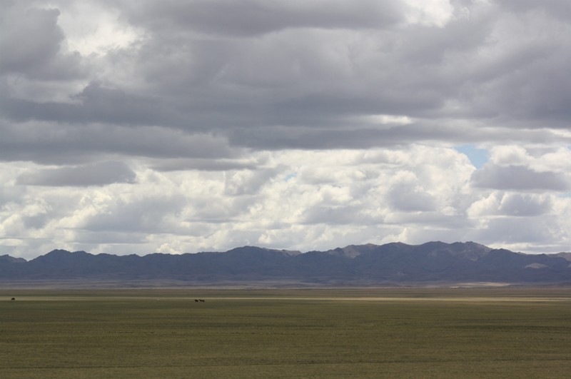 Gobi Roads