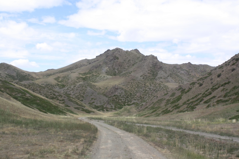 Gobi Roads