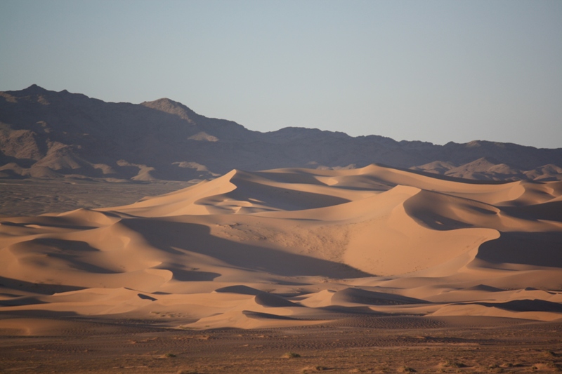 Gobi Roads