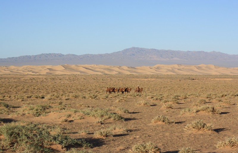 Gobi Sunrise