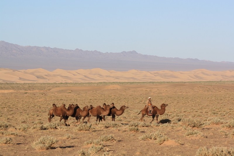 Gobi Sunrise