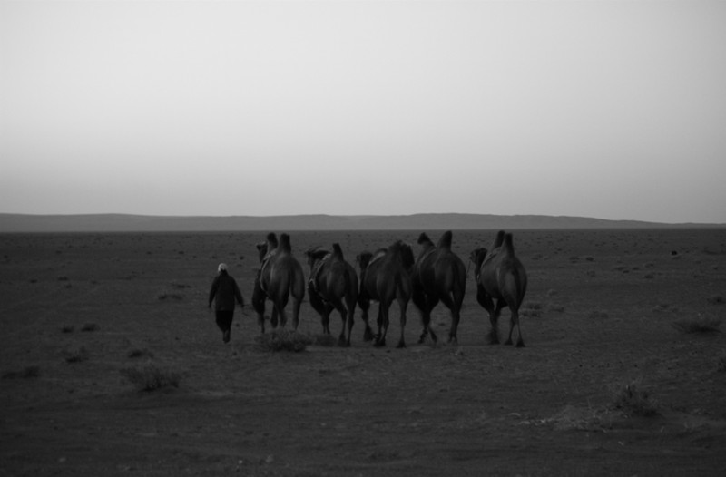 Gobi Sunset