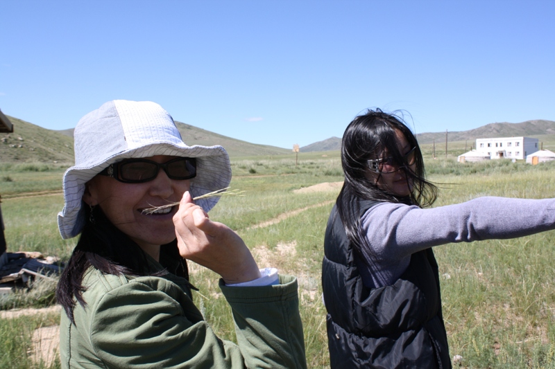  Khustain National Park, Mongolia